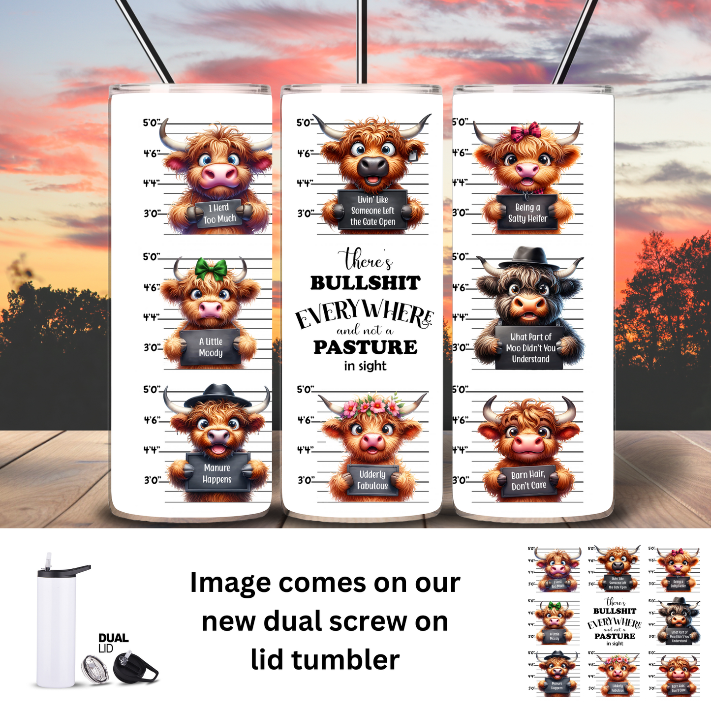 Tumbler | Highland Cow | Bullshit Everywhere