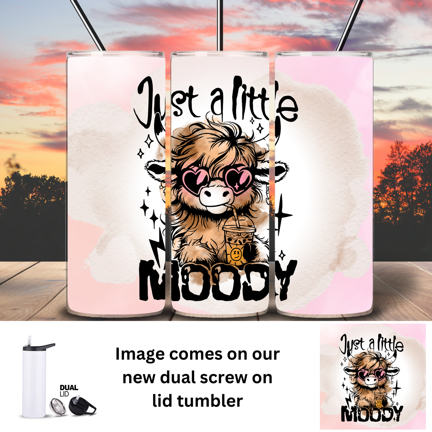 Tumbler | Highland Cow | Moody